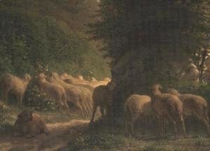 Sheep grazing along a hedgerow